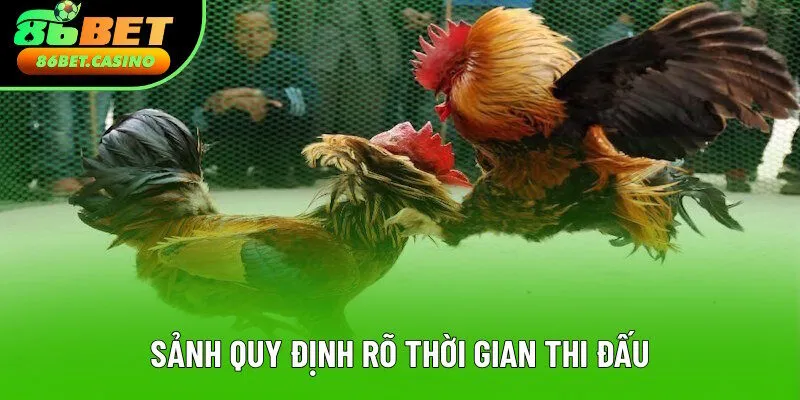 Mỗi trận đều có thời lượng thi nhất định Mỗi trận đều có thời lượng thi nhất định