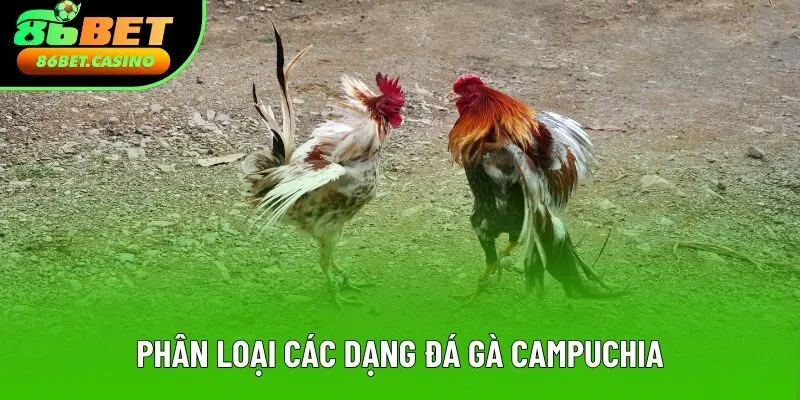 Phân loại các dạng đá gà Campuchia