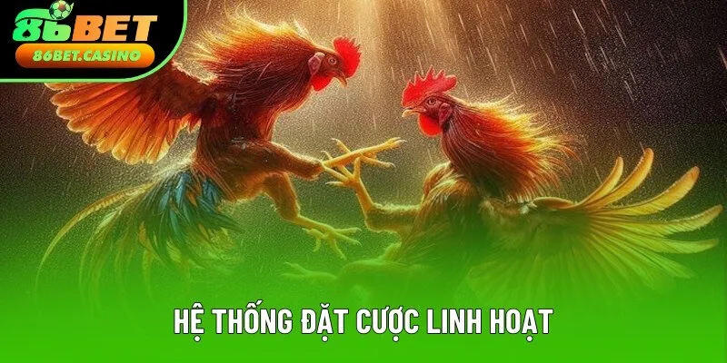 Hệ thống vào cược vô cùng linh hoạt Hệ thống vào cược vô cùng linh hoạt