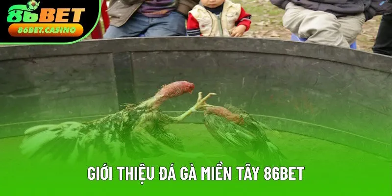 Nội dung sơ lược đá gà miền tây 86bet Nội dung sơ lược đá gà miền tây 86bet