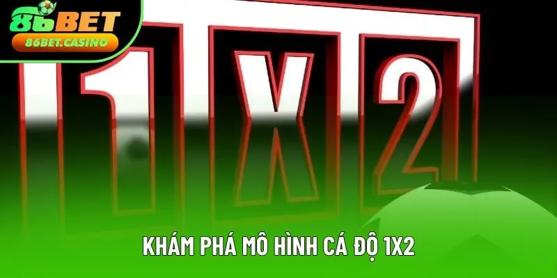 Khám phá mô hình cá độ 1x2 Khám phá mô hình cá độ 1x2