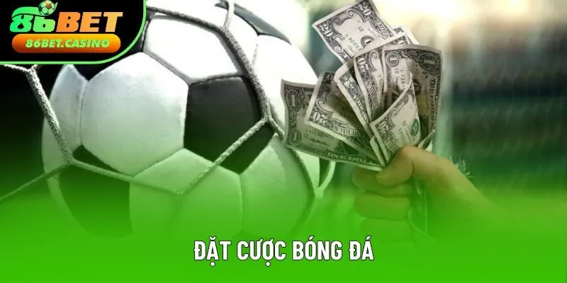 Đặt Cược Bóng Đá: Hướng Dẫn Chi Tiết Kiến Thức Cơ Bản